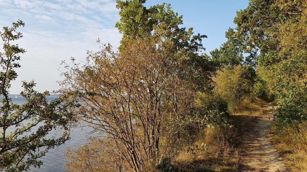 Ferienwohnung Seeblick Altefähr Екстериор снимка